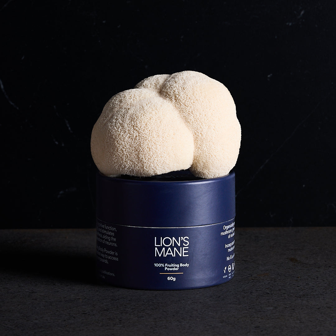 Lion's Mane Pure Powder