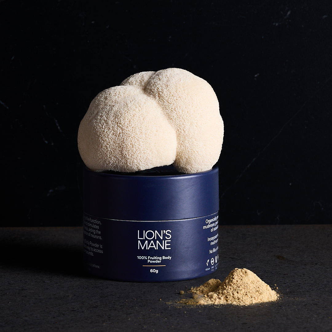 Lion's Mane Pure Powder