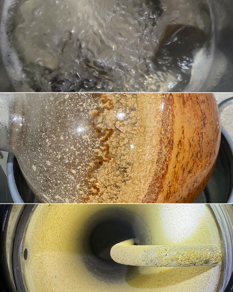 Mushroom Extraction 101: Single, Dual, and Supercritical™ Explained