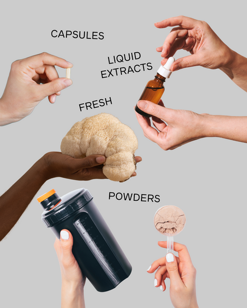 What Is Lion’s Mane Mushroom? Benefits, Bioactive Compounds & Why Sourcing Matters