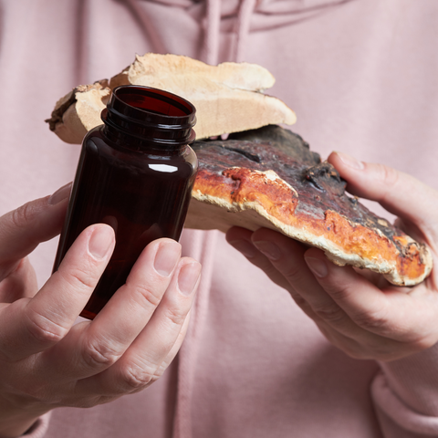 What are functional mushrooms and are they worth the hype?