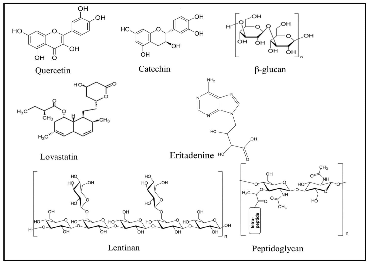 Chemical structures of the Bioactive compounds in Lion's Mane Mushroom