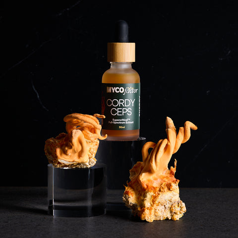Cordyceps Supercritical™ Full-Spectrum Extract