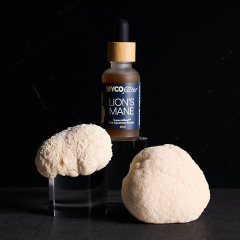 Lion's Mane Supercritical™ Full-Spectrum Extract