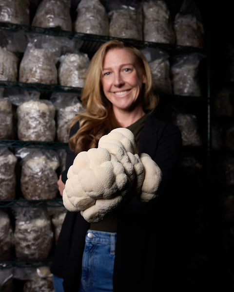 Australian Mushrooms