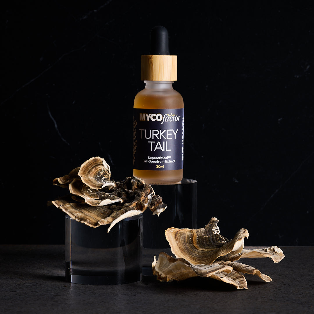 Turkey Tail Supercritical™ Full-Spectrum Extract